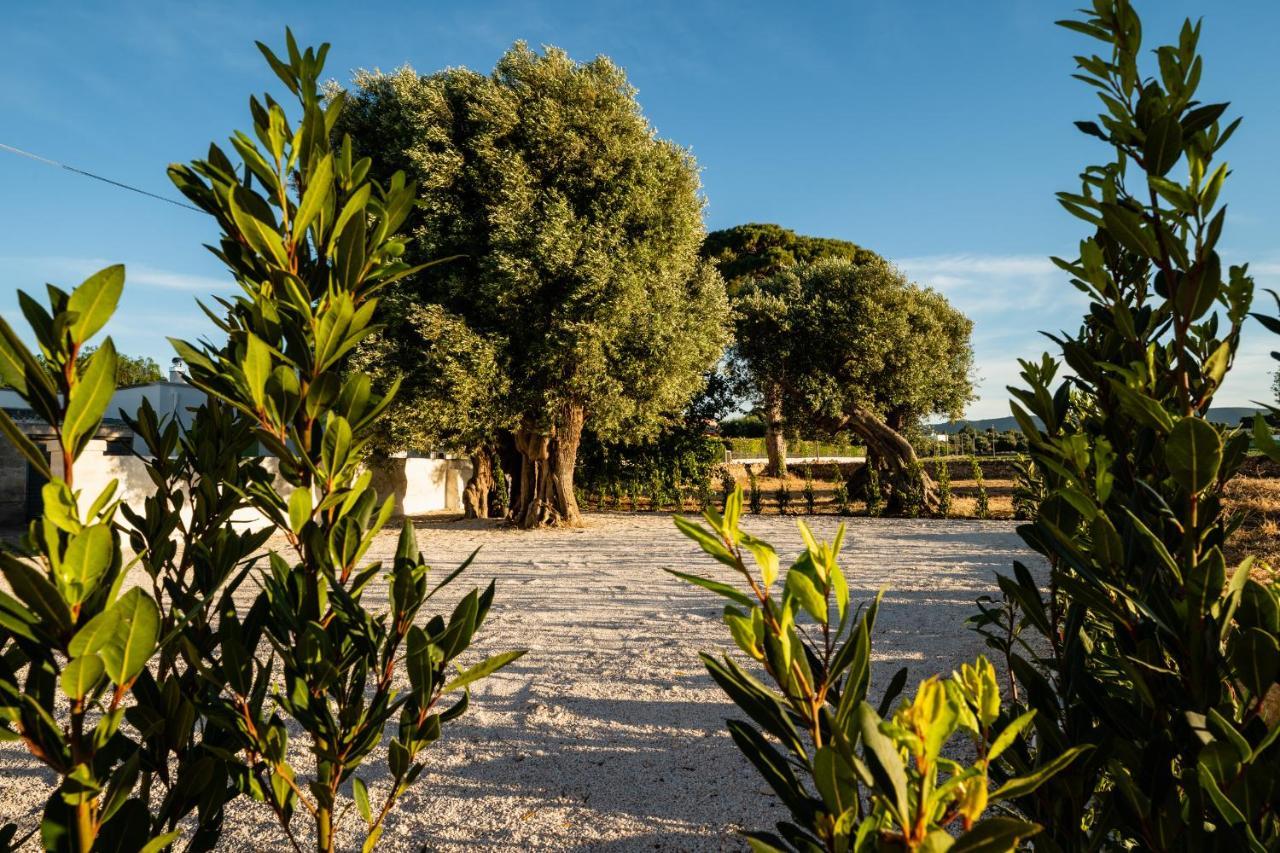 Il Pergolato Sul Mare Villa Monopoli Dış mekan fotoğraf